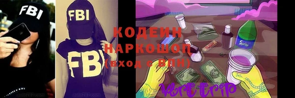 ГАЛЛЮЦИНОГЕННЫЕ ГРИБЫ Арсеньев