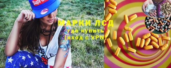 ПСИЛОЦИБИНОВЫЕ ГРИБЫ Армянск