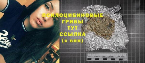 индика Баксан