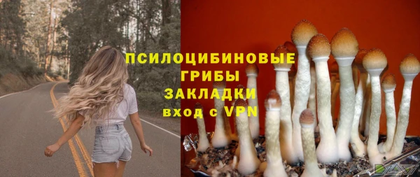 ПСИЛОЦИБИНОВЫЕ ГРИБЫ Армянск