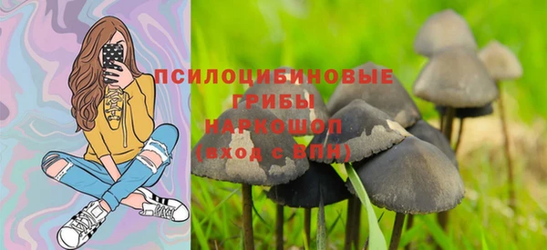 ГАЛЛЮЦИНОГЕННЫЕ ГРИБЫ Арсеньев