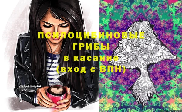 ПСИЛОЦИБИНОВЫЕ ГРИБЫ Армянск