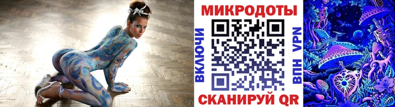 сколько стоит  Павлово  Псилоцибиновые грибы Psilocybe 