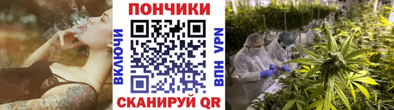 Каннабис сатива  Павлово 